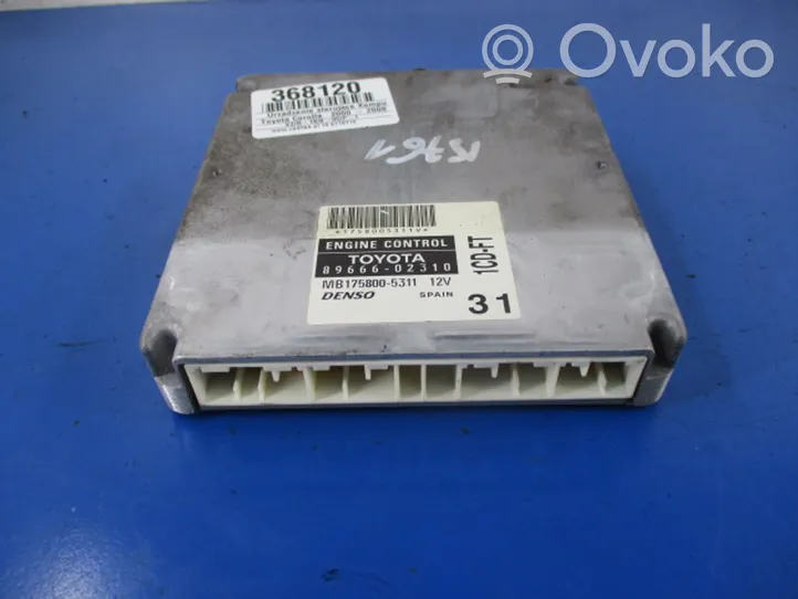 Toyota Corolla E120 E130 Unité de commande, module ECU de moteur 89666-02310