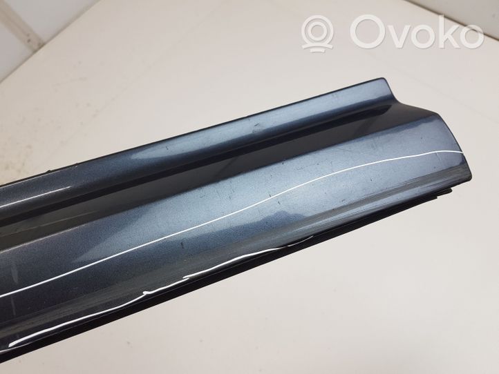 Audi A8 S8 D3 4E Rivestimento della portiera anteriore (modanatura) 