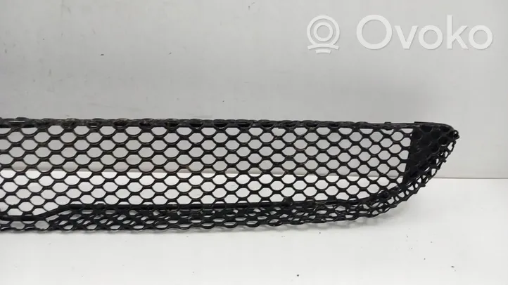 Mercedes-Benz C AMG W203 Front bumper lower grill 