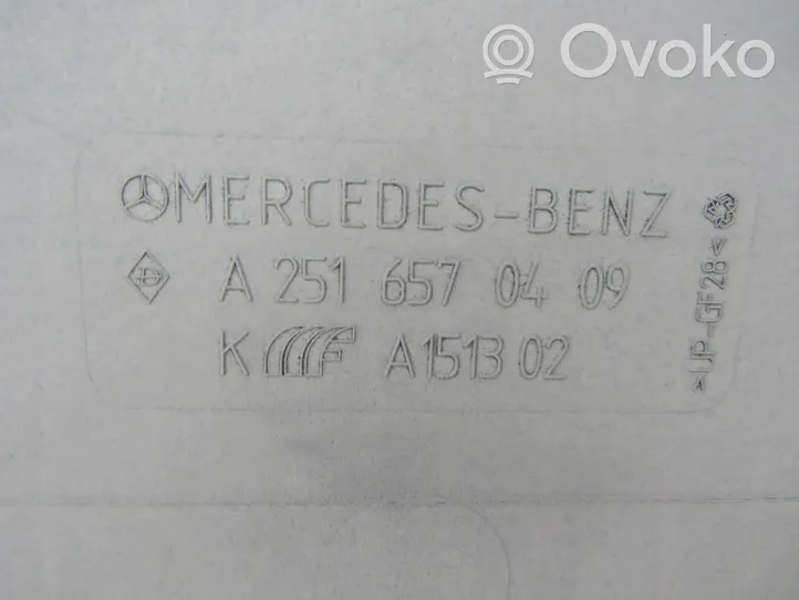 Mercedes-Benz R W251 Dach 2516570409