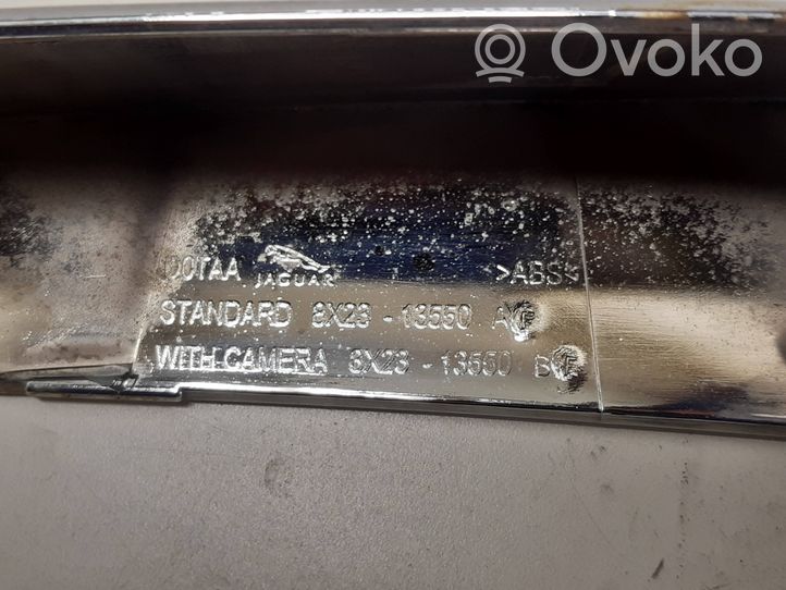 Volkswagen Tiguan Éclairage de plaque d'immatriculation 8X2313550BF