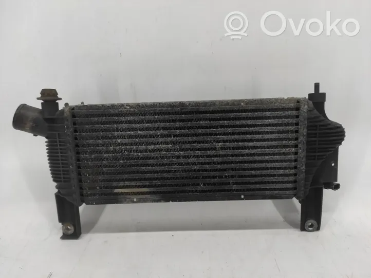 Nissan Navara Radiatore intercooler 