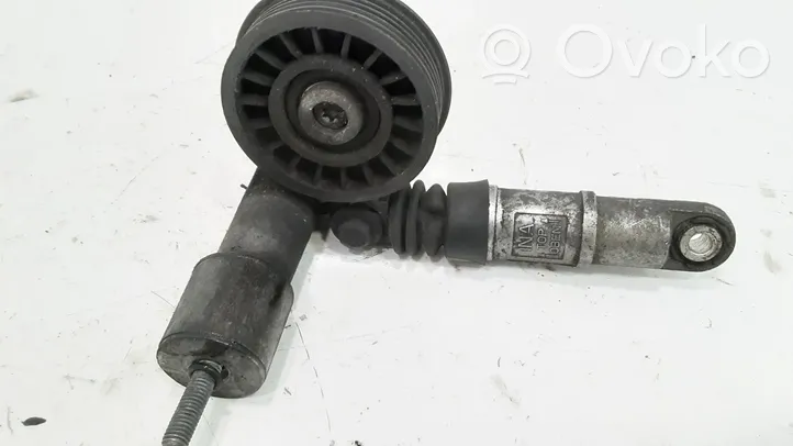 Volkswagen PASSAT B5.5 Alternator belt tensioner 