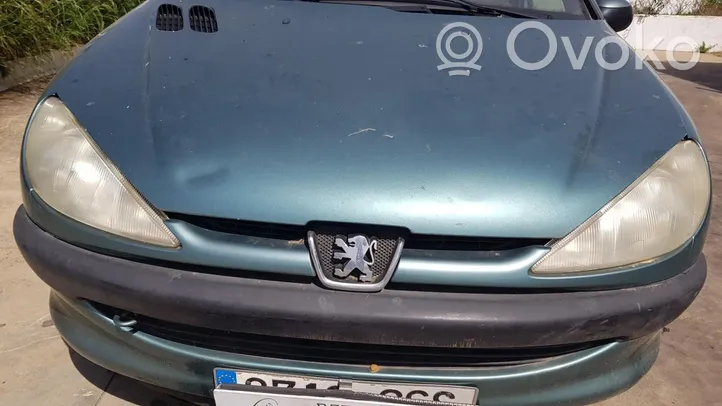 Peugeot 206+ Atrapa chłodnicy / Grill 