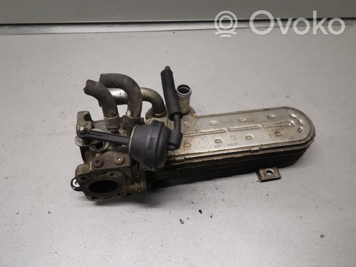 Mitsubishi Grandis EGR aušintuvas 03G131513K