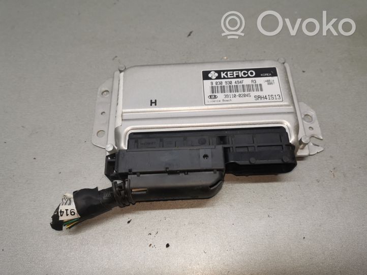 KIA Picanto Engine control unit/module 3911002045