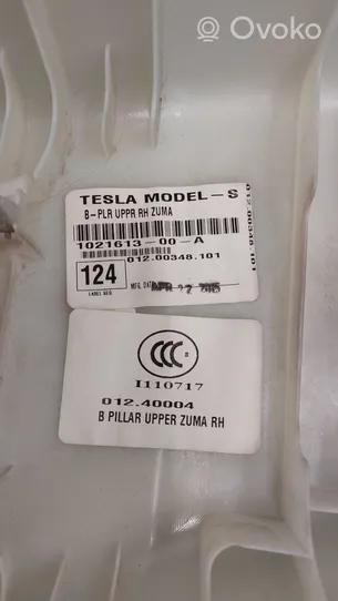 Tesla Model S Set rivestimento 104593601C