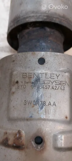 Bentley Continental Filtro de partículas del catalizador/FAP/DPF 3W0178AA