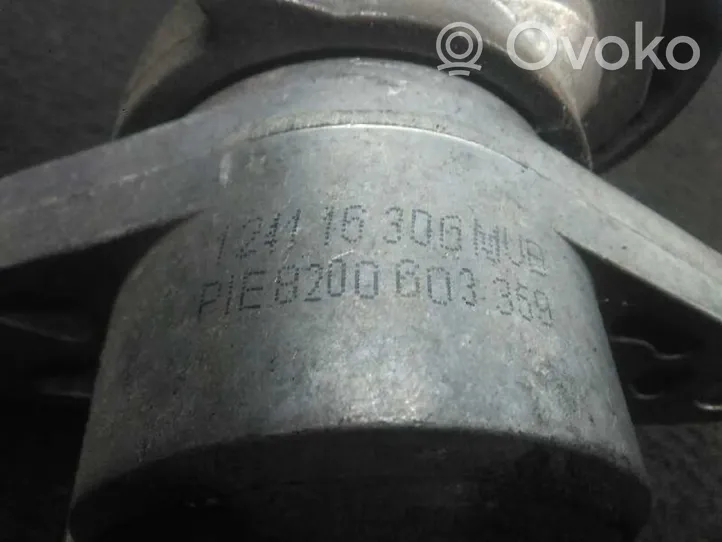 Renault Clio II Napinacz paska alternatora 