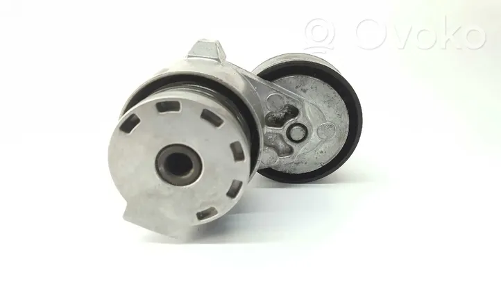 Renault Megane III Tendicinghia generatore/alternatore 