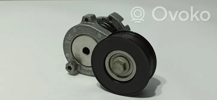 Hyundai i30 Tendicinghia generatore/alternatore 25281-0450