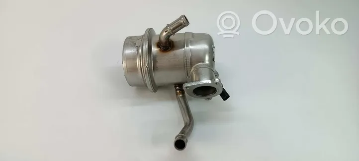 Volkswagen Golf VIII EGR valve cooler 