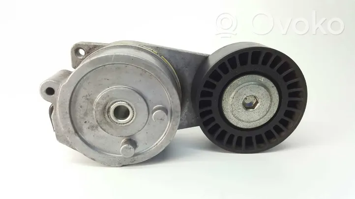 Fiat 500 Generator/alternator belt tensioner 