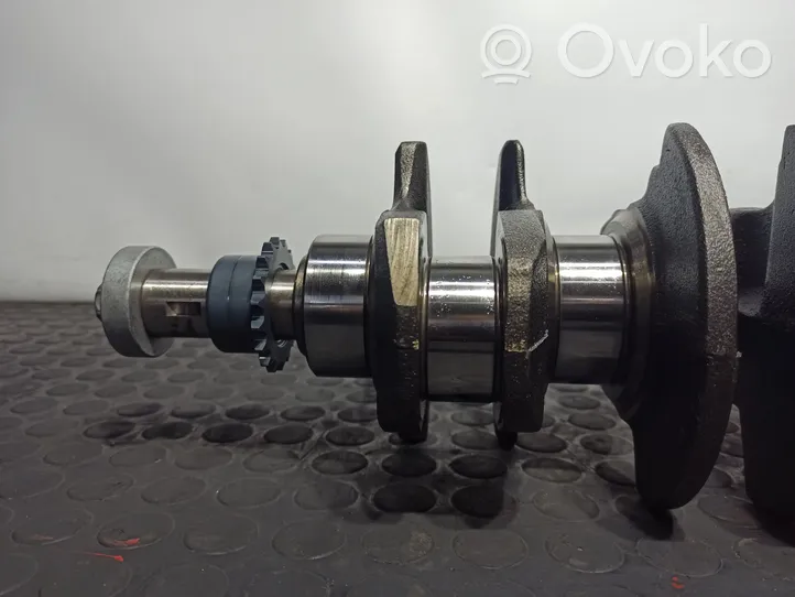 Citroen C15 Crankshaft 