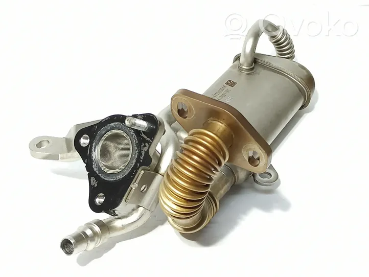 Nissan Juke I F15 EGR valve cooler 
