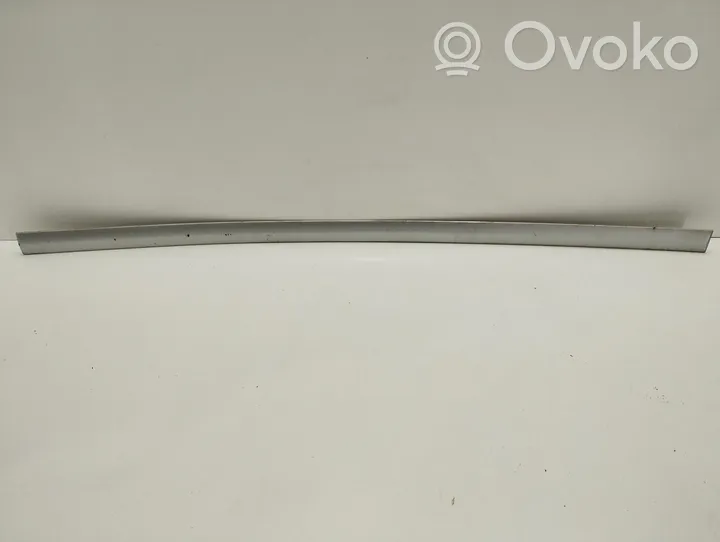 Opel Vectra C Trim molding 13101649