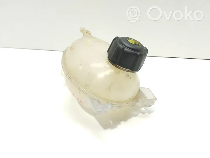 Renault Clio IV Vase d'expansion / réservoir de liquide de refroidissement 217107259R
