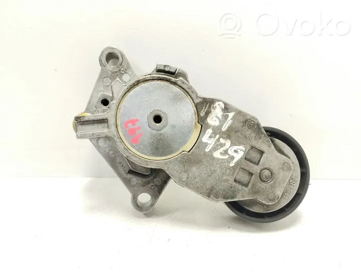 Peugeot 206 Lichtmaschine Riemenspanner Spannrolle Keilrippenriemen Keilriemen 575186