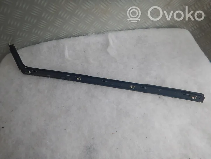 Citroen C6 Rear door glass trim molding 9646289480