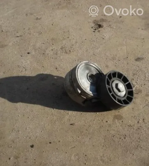 Volvo V50 Napinacz paska alternatora 30852898