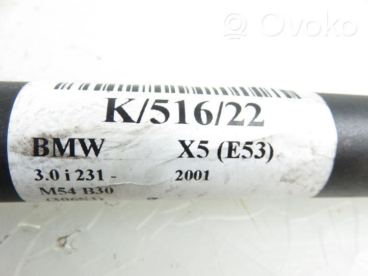 BMW X5 E53 Soporte del amortiguador 