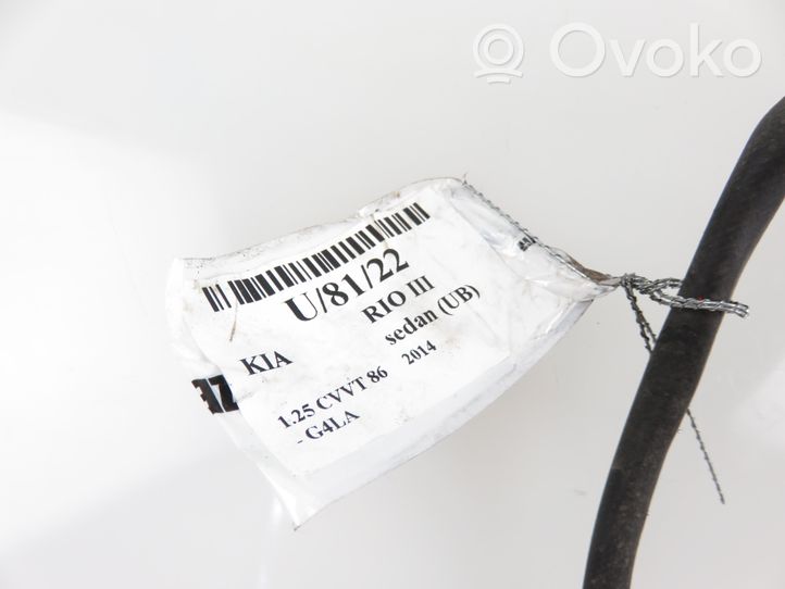 KIA Rio Sonde lambda 