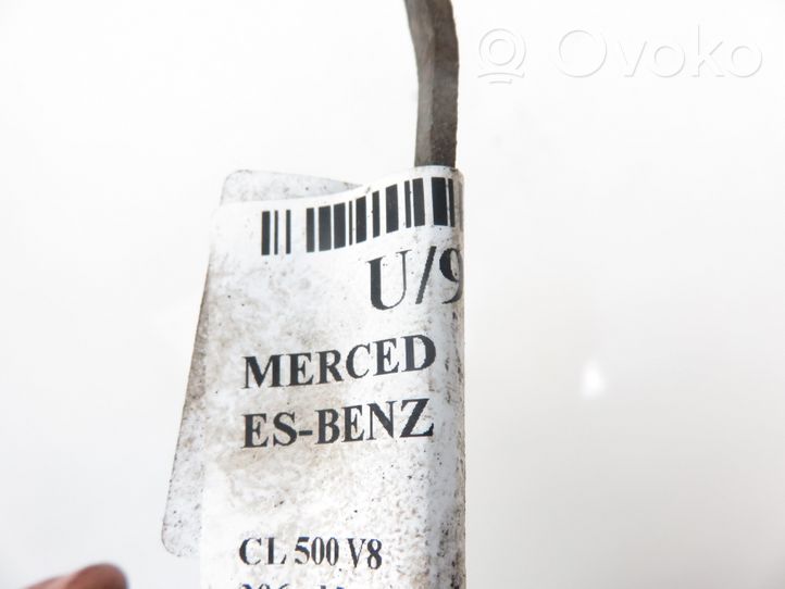 Mercedes-Benz CL C215 Module de ballast de phare Xenon 