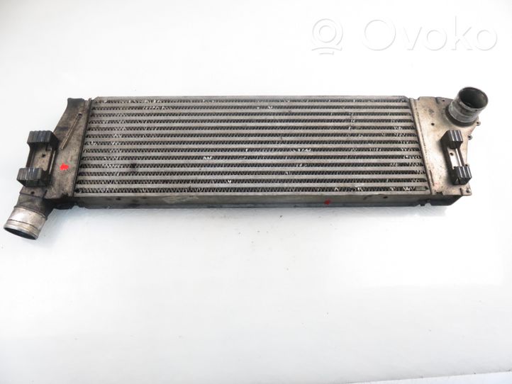 Renault Megane II Radiatore intercooler 