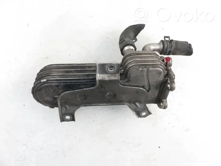 Volkswagen Golf IV EGR valve cooler 