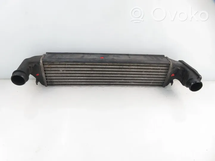 BMW 3 E46 Radiatore intercooler 