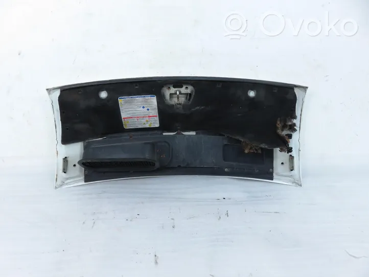 Fiat Ducato Engine bonnet/hood 