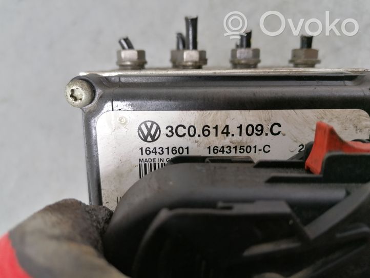 Volkswagen PASSAT B6 Pompa ABS 3C0614109C