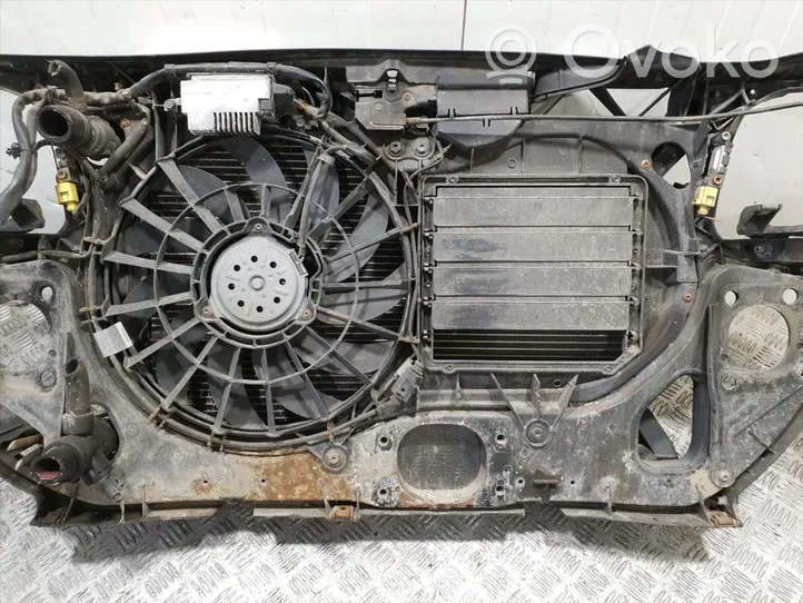 Audi A4 S4 B6 8E 8H Radiatorių panelė (televizorius) 