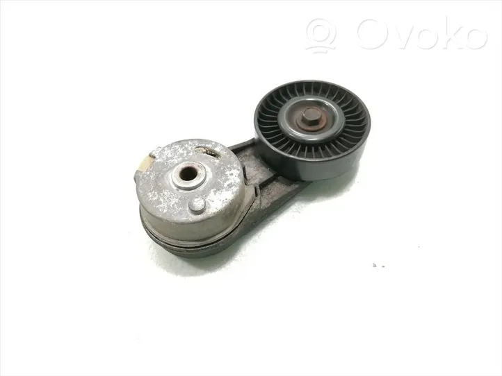 Opel Signum Napinacz paska wielorowkowego / Alternatora 24430296