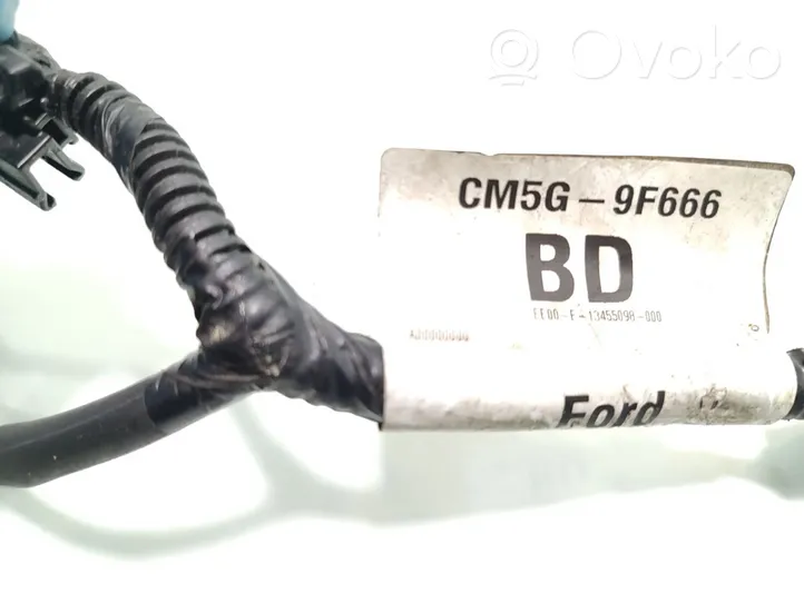 Ford Focus Cavi iniettore di carburante CM5G-9F666-BD