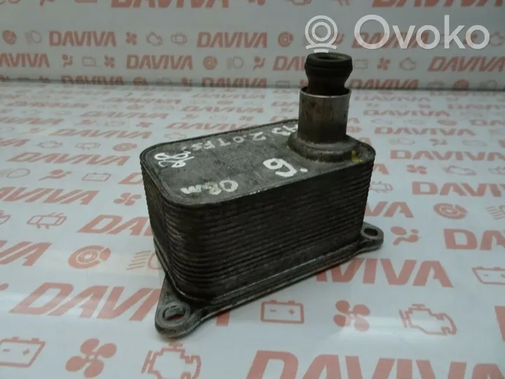 Volkswagen Tiguan Engine oil radiator 06J117021J