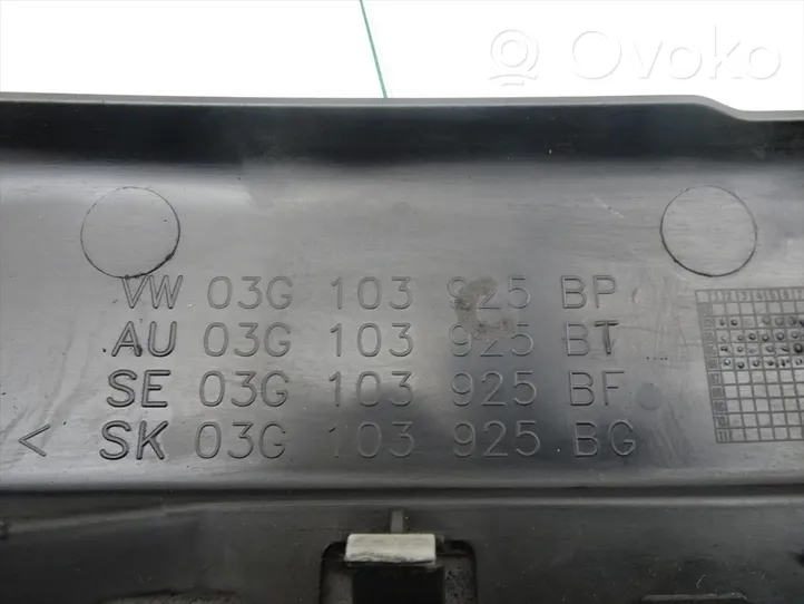 Volkswagen Passat Alltrack Copri motore (rivestimento) 03G103925BP