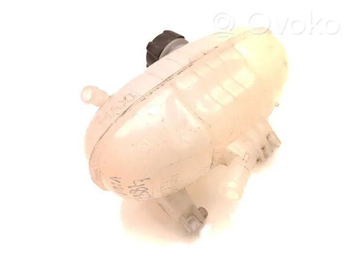 Opel Vivaro Coolant expansion tank/reservoir 217101893R