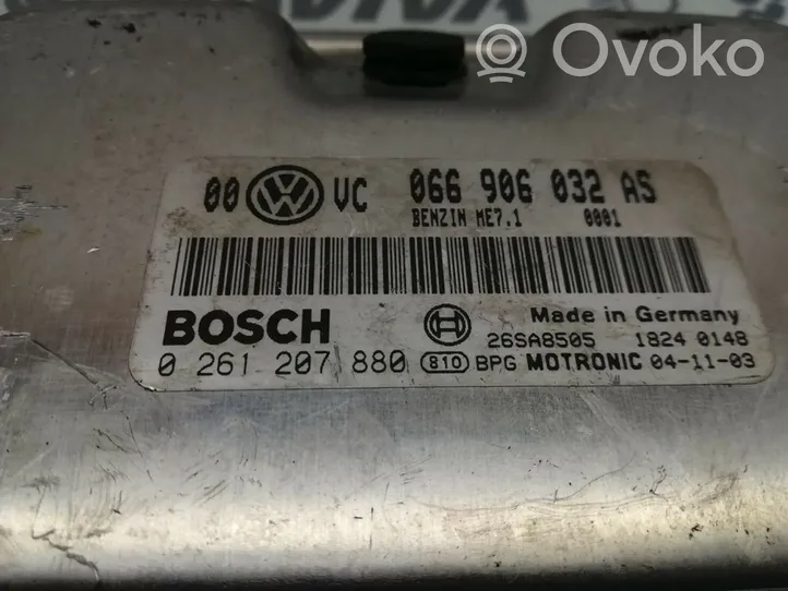 Volkswagen PASSAT B5.5 Variklio valdymo blokas 066906032AS