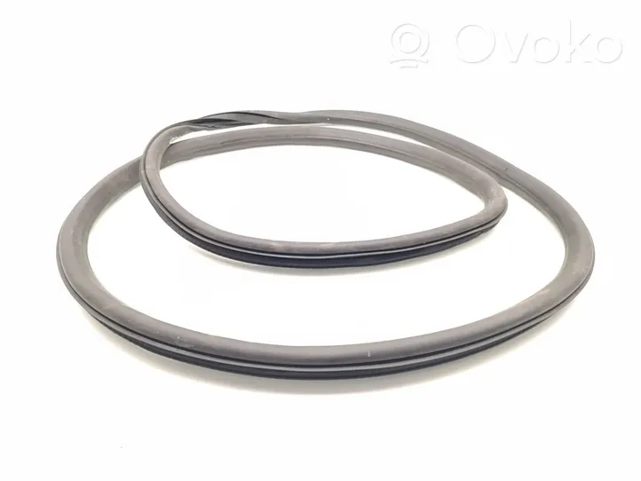 Opel Insignia A Rubber seal front door (on door) 