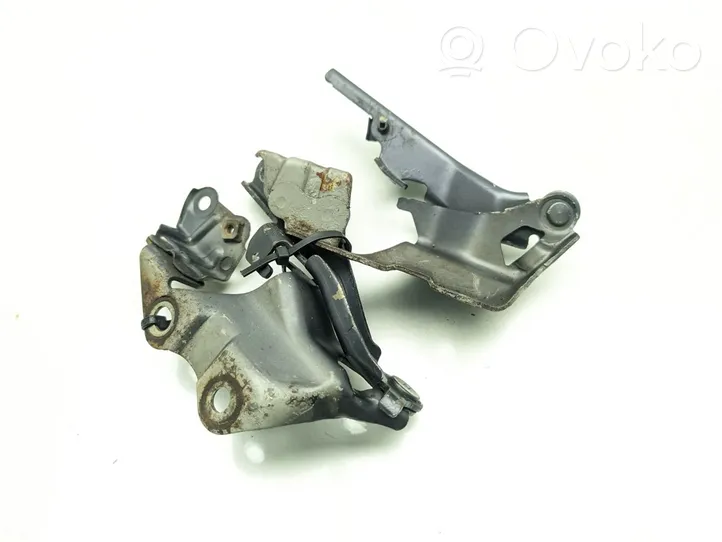 Lexus GS 300 350 430 450H Engine bonnet/hood hinges 