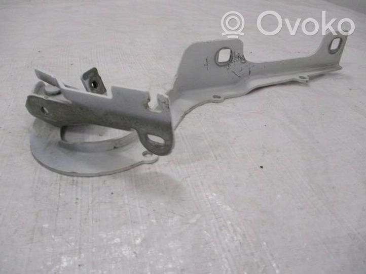 Peugeot 2008 I Cerniere del vano motore/cofano 9678389580