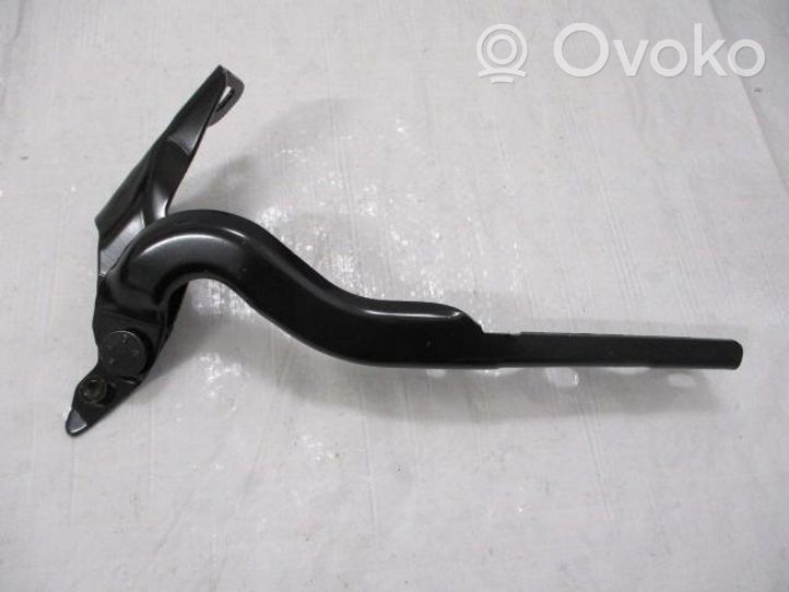 Peugeot 301 Cerniere del vano motore/cofano 9674797280