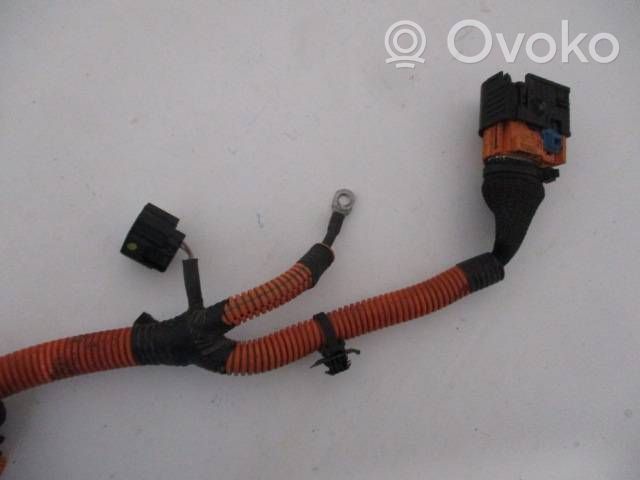 Renault Kangoo II Câble de recharge pour voiture électrique 243916306R