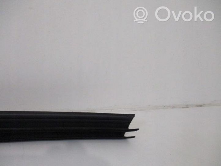 Citroen C5 Front door rubber seal 931177