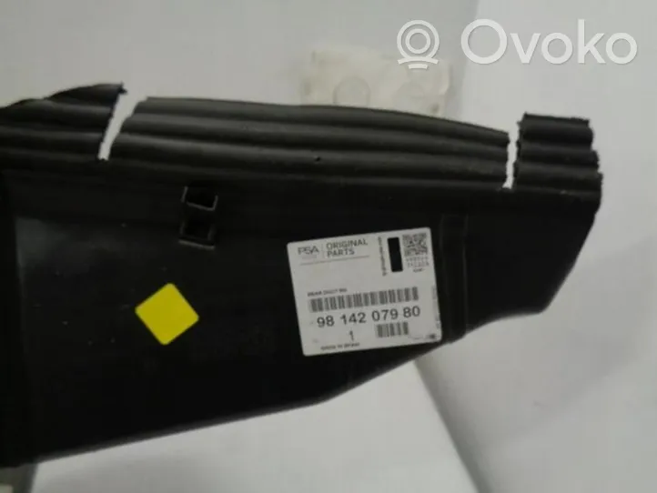 Citroen C4 II Picasso Osłona chłodnicy 9814207980