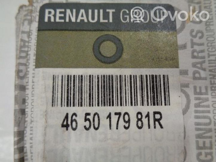 Renault Kangoo II Plaquette / support d'étrier avant 465017981R