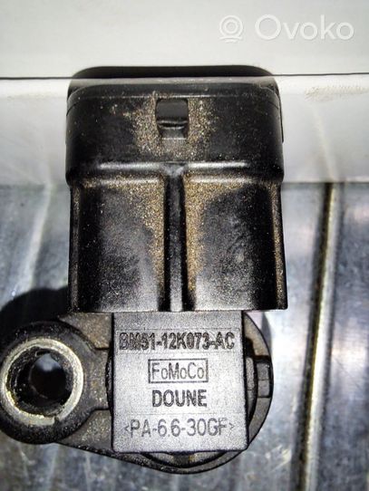 Ford Fiesta Sensor BM5112K073AC