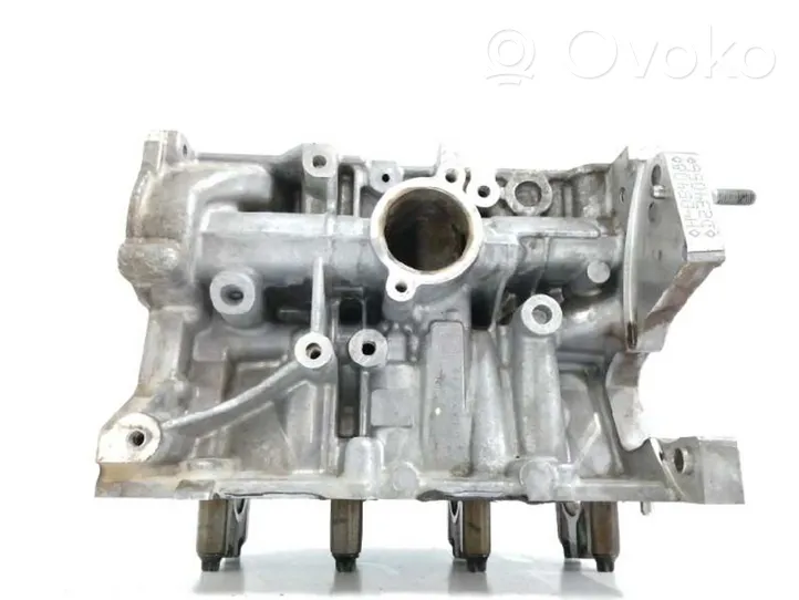 Renault Captur Blok silnika 110116559R