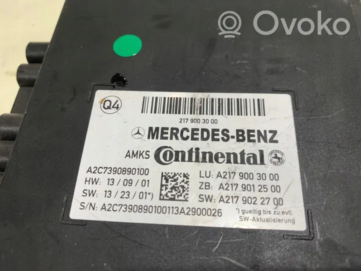 Mercedes-Benz S C217 Autres unités de commande / modules A2179003000